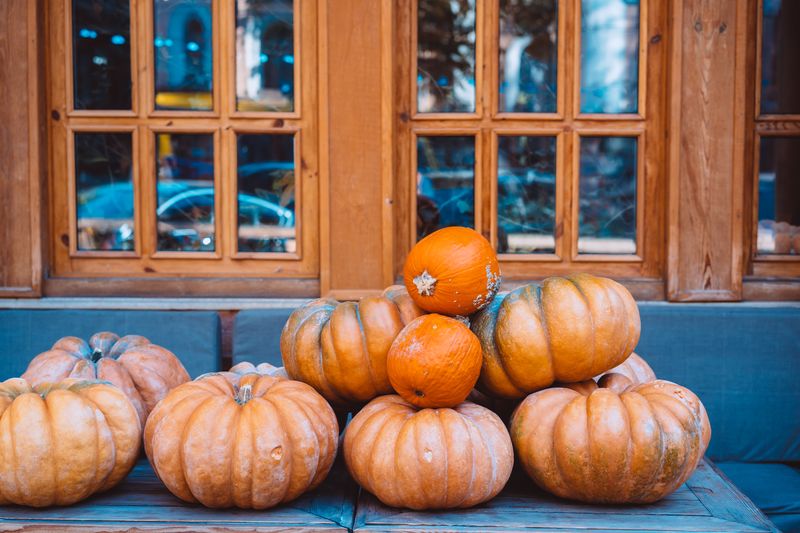 Many large orange pumpkins lie in the street . Autumn street decoration. Autumn harvest of pumpkins prepared for the holiday